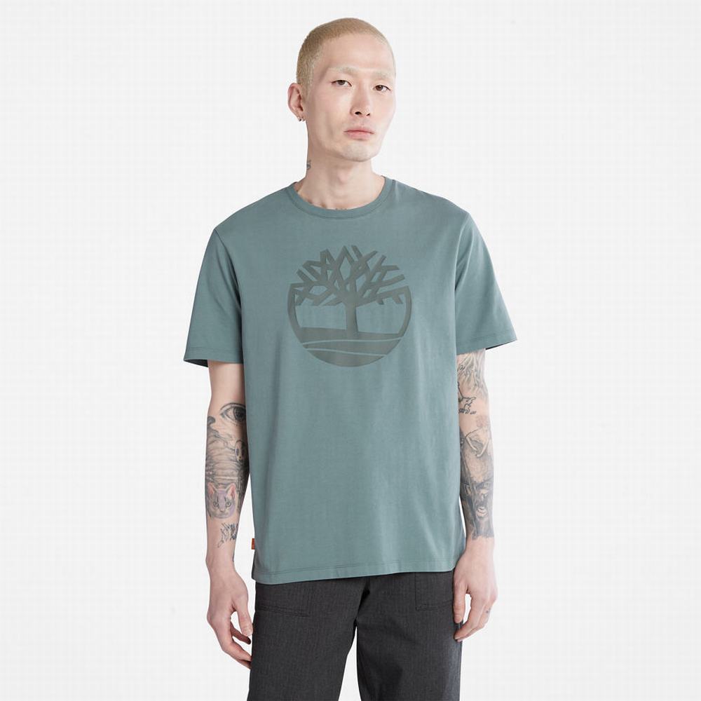 Tricko Timberland Kennebec River Tree-logo T-Shirt Panske Zelene | UX0865732