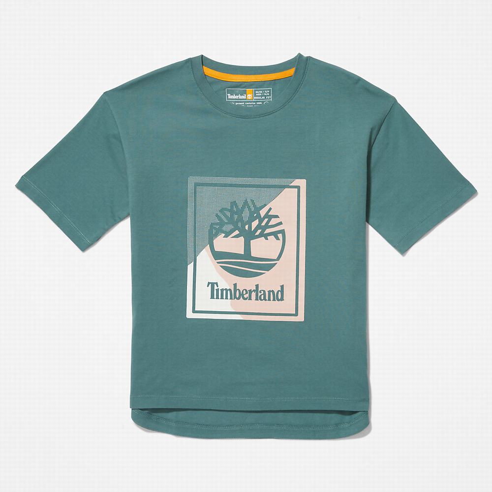 Tricko Timberland Logo Graphic T-Shirt Damske Tyrkysové | NB6892471