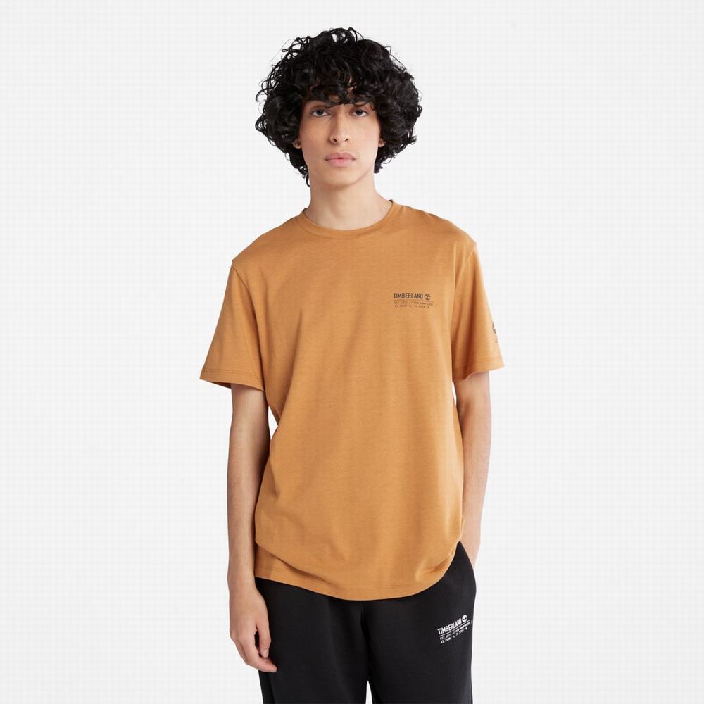 Tricko Timberland Luxe Pohodlie T-Shirt Damske Hnede | AN3691827