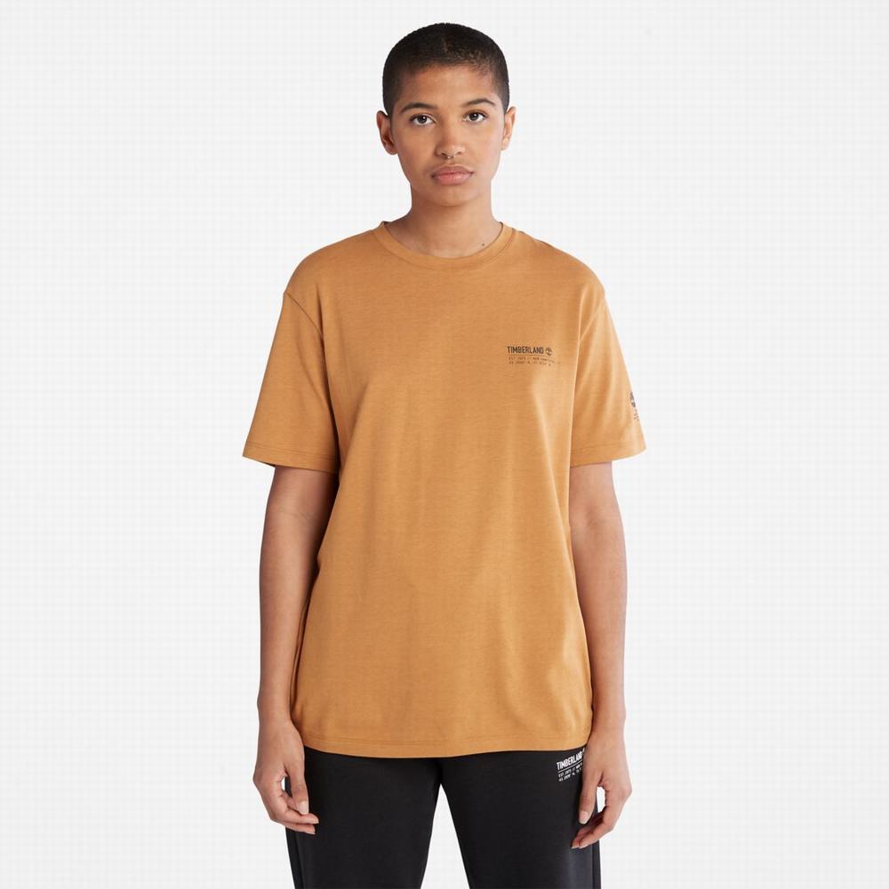 Tricko Timberland Luxe Pohodlie T-Shirt Damske Hnede | AN3691827