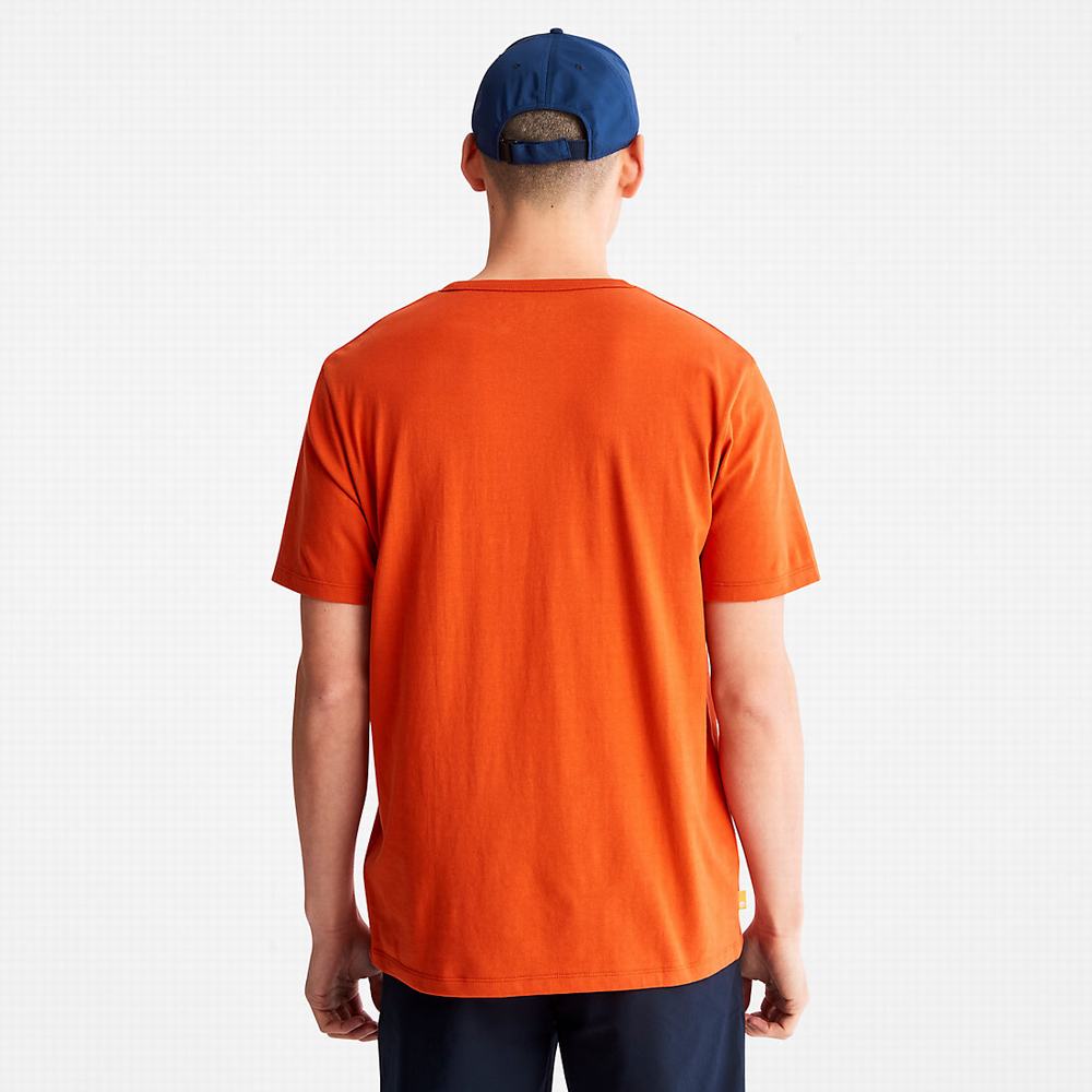 Tricko Timberland Mountains-to-Rivers Print T-Shirt Panske Oranžové | VK1289405