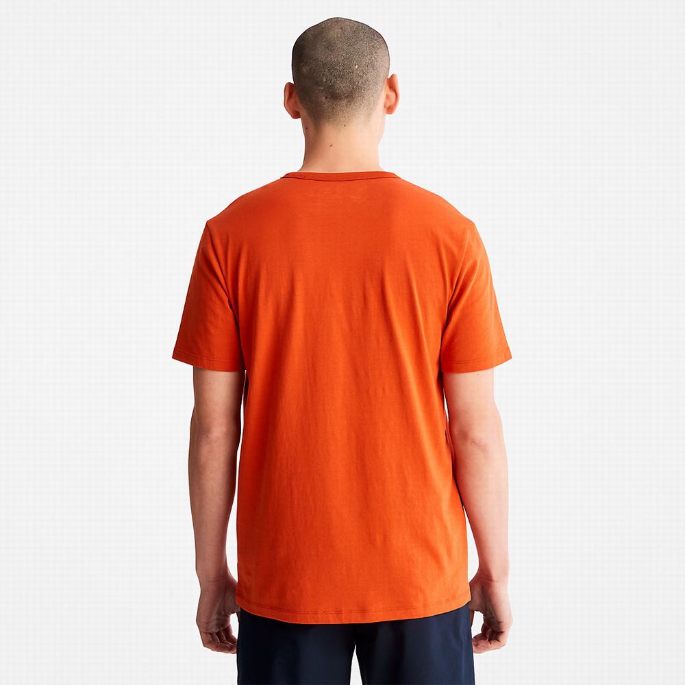 Tricko Timberland Mountains-to-Rivers T-Shirt Panske Oranžové | FP1325078