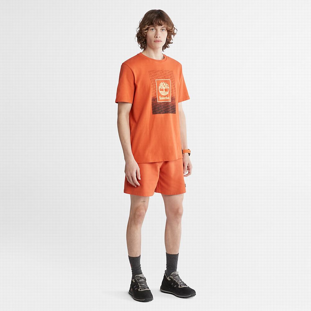 Tricko Timberland Outdoor Archive T-Shirt Panske Oranžové | KE8623479