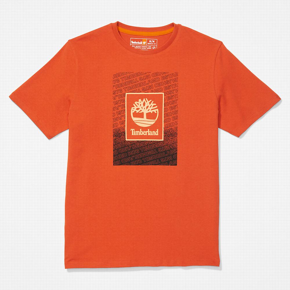 Tricko Timberland Outdoor Archive T-Shirt Panske Oranžové | KE8623479