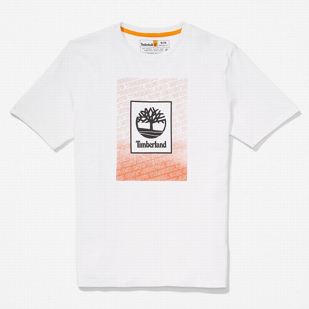 Tricko Timberland Outdoor Archive T-Shirt Panske Biele | MC2164783