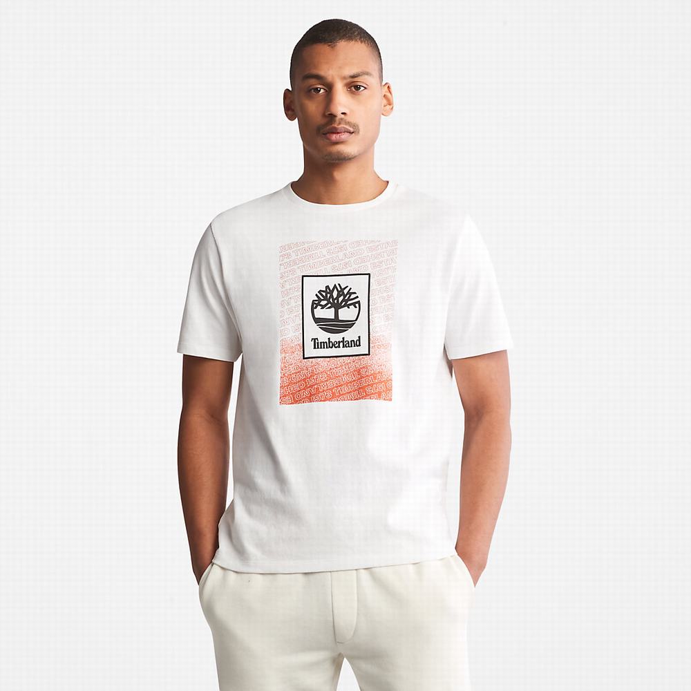 Tricko Timberland Outdoor Archive T-Shirt Panske Biele | MC2164783