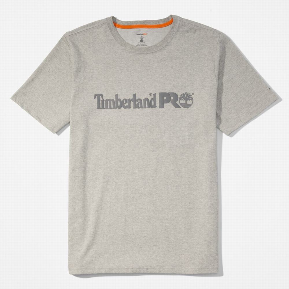 Tricko Timberland PRO® Base Plate Kratke-Sleeve Logo T-Shirt Panske Svetlo Siva | NT8731254