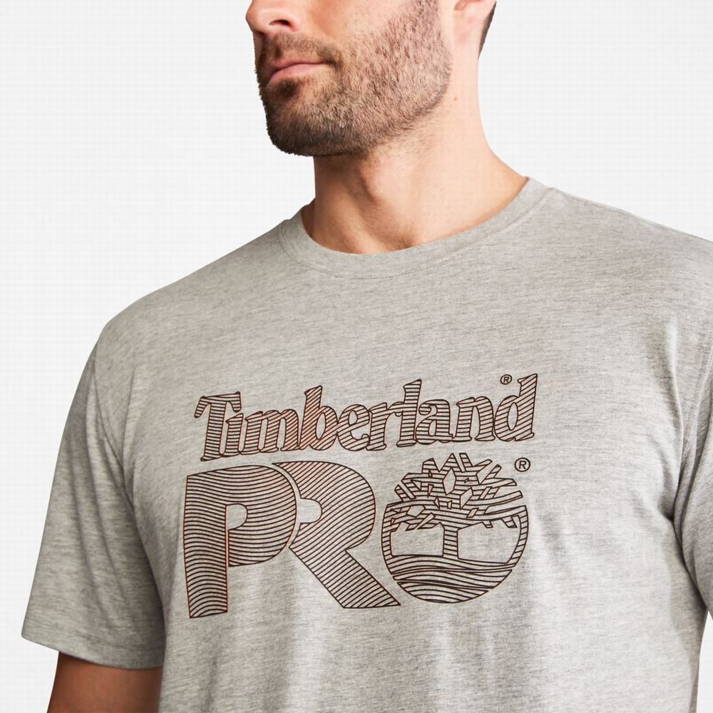 Tricko Timberland PRO® Textured Graphic Kratke-Sleeve T-Shirt Panske Svetlo Siva | SV9483502