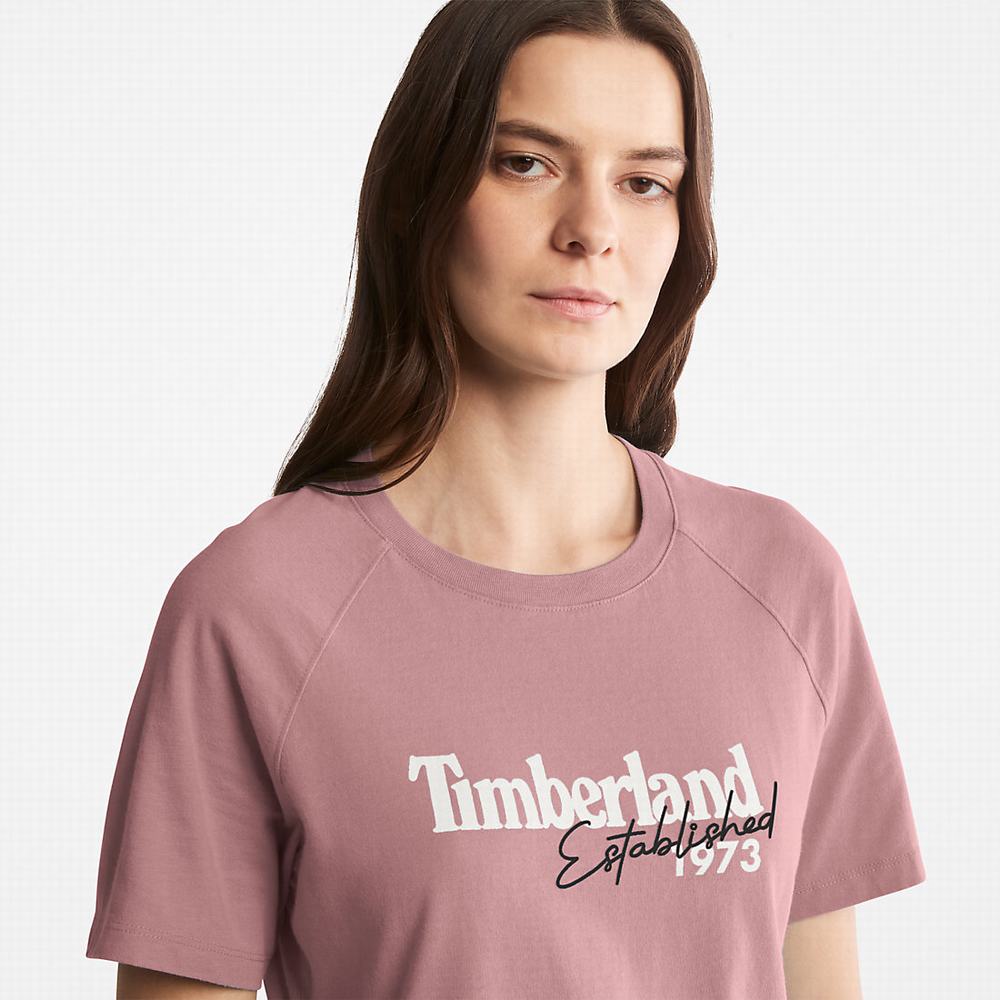 Tricko Timberland Raglan-sleeve Logo T-Shirt Damske Ruzove | CA6014279