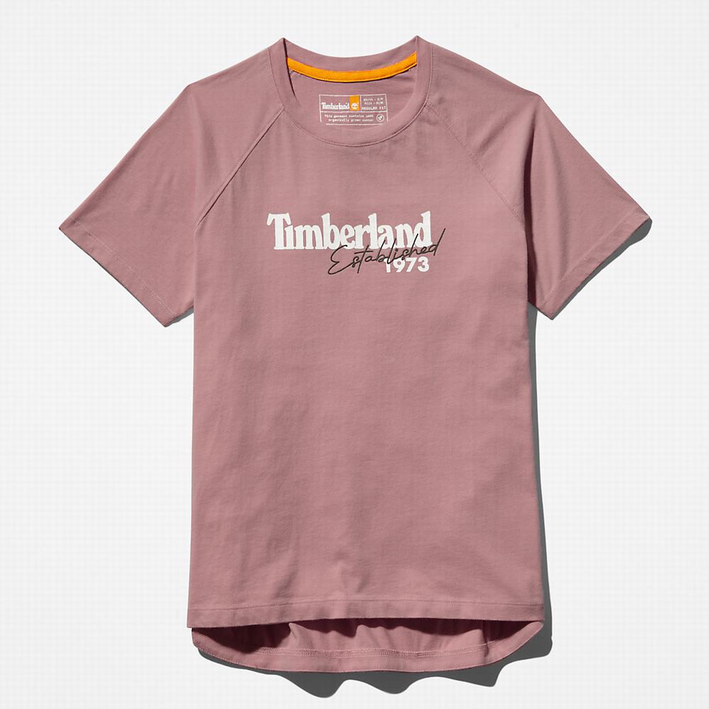 Tricko Timberland Raglan-sleeve Logo T-Shirt Damske Ruzove | CA6014279