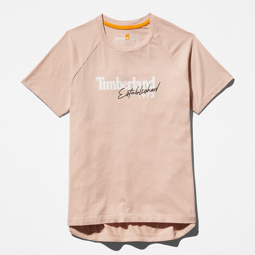 Tricko Timberland Raglan-sleeve Logo T-Shirt Damske Ruzove | CN7165893