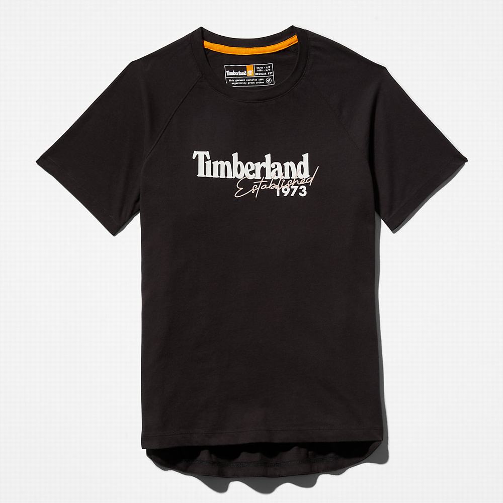 Tricko Timberland Raglan-sleeve Logo T-Shirt Damske Čierne | PA5491706