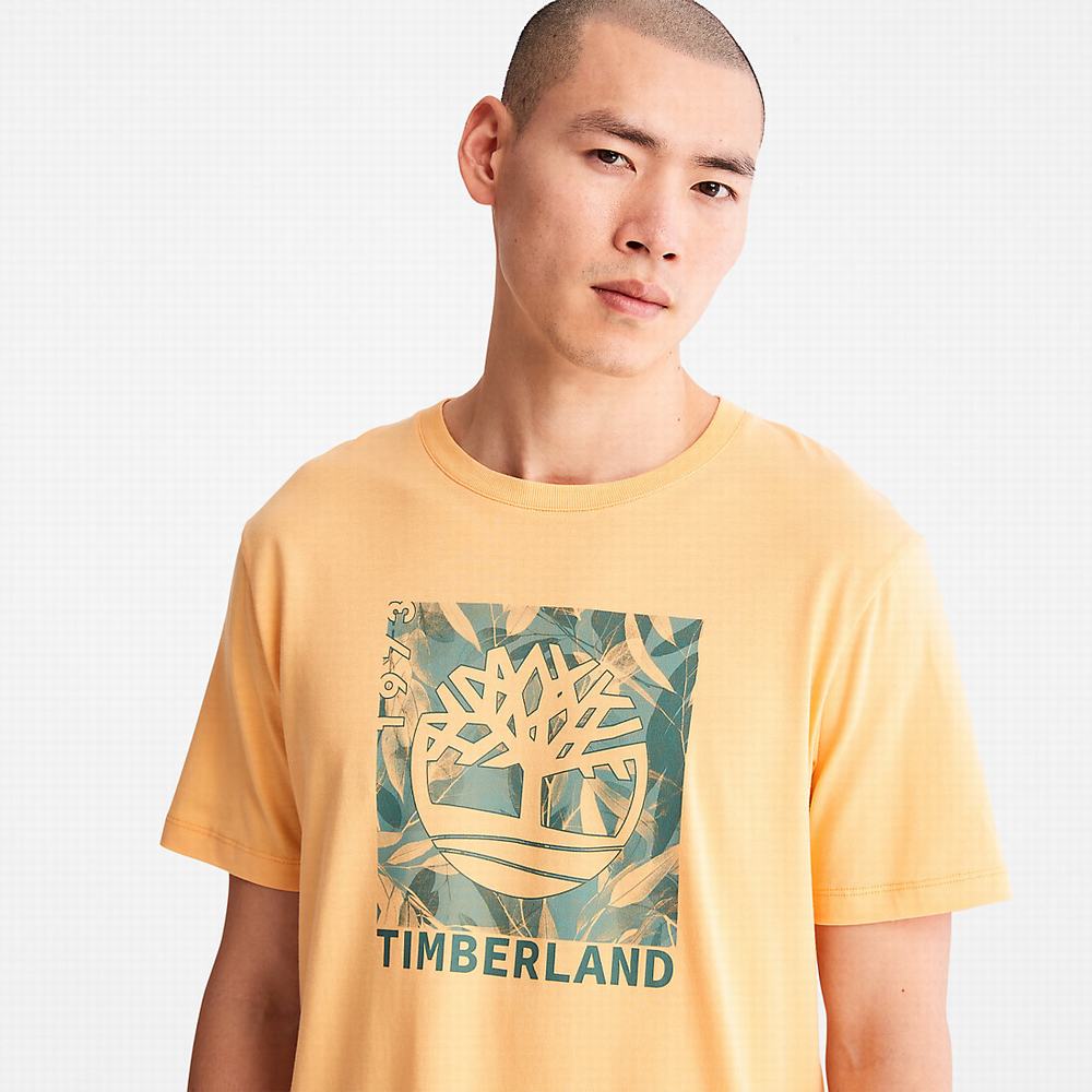 Tricko Timberland Refibra™ Graphic T-Shirt Panske Oranžové | LV9430257