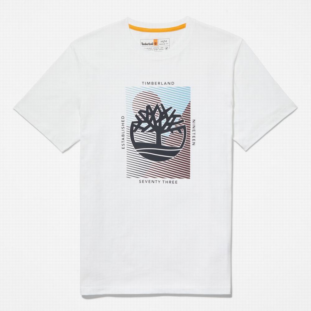 Tricko Timberland Tree-Logo T-Shirt Panske Biele | VQ1638427