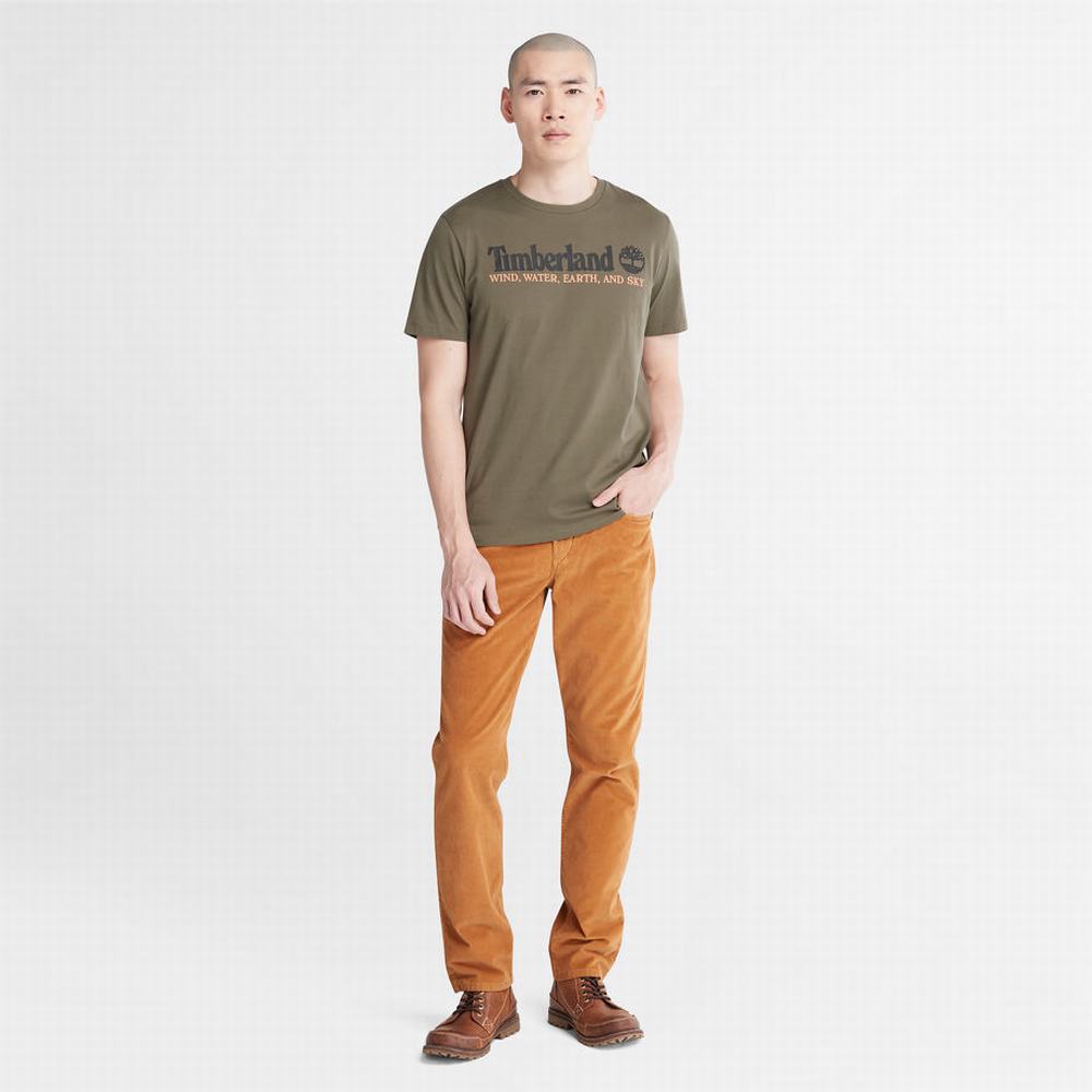 Tricko Timberland Vietor, Vody, Earth, and Sky T-Shirt Panske Tmavo Zelene | HZ1372085