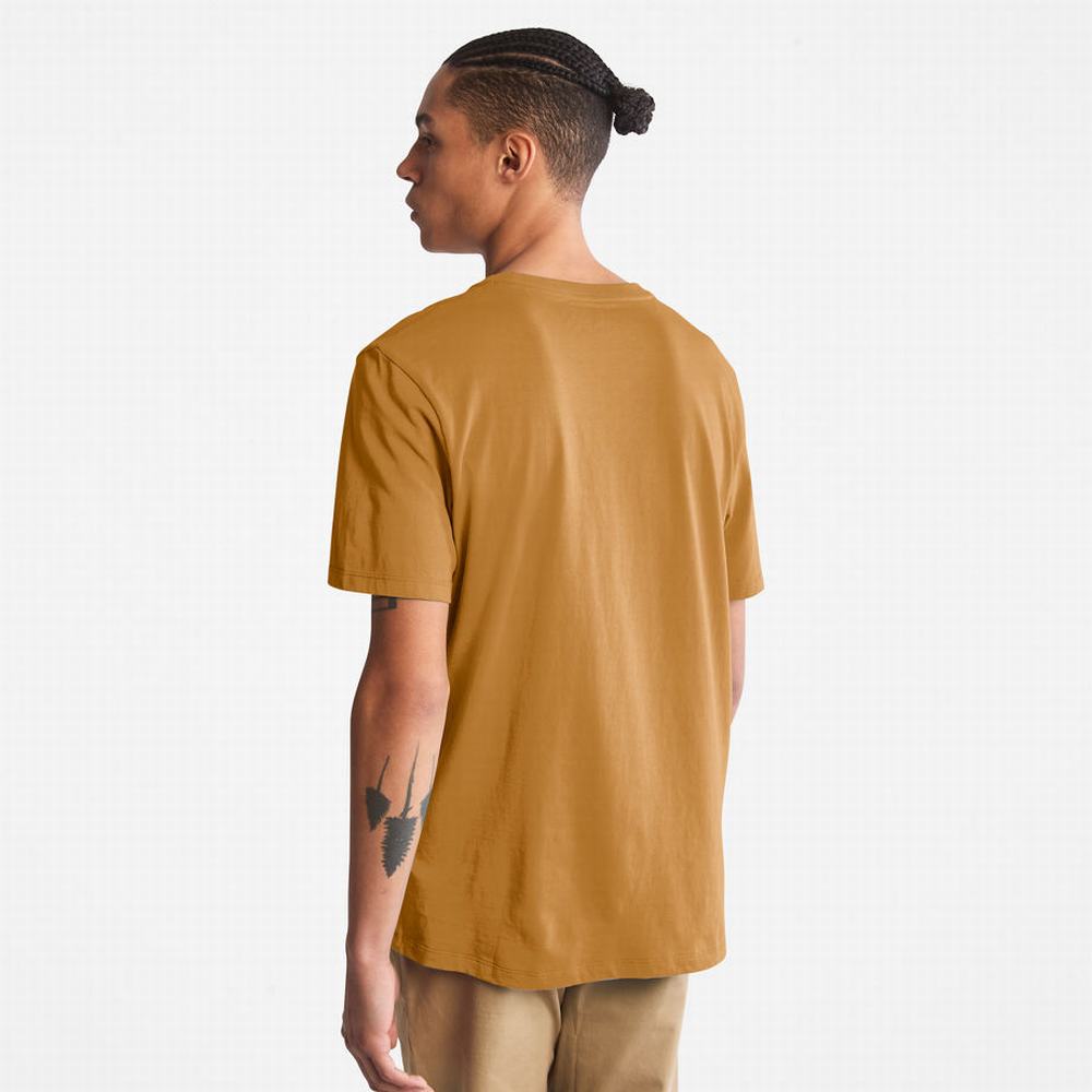 Tricko Timberland Vietor, Vody, Earth and Sky™ T-Shirt Panske Hnede | XI1035748