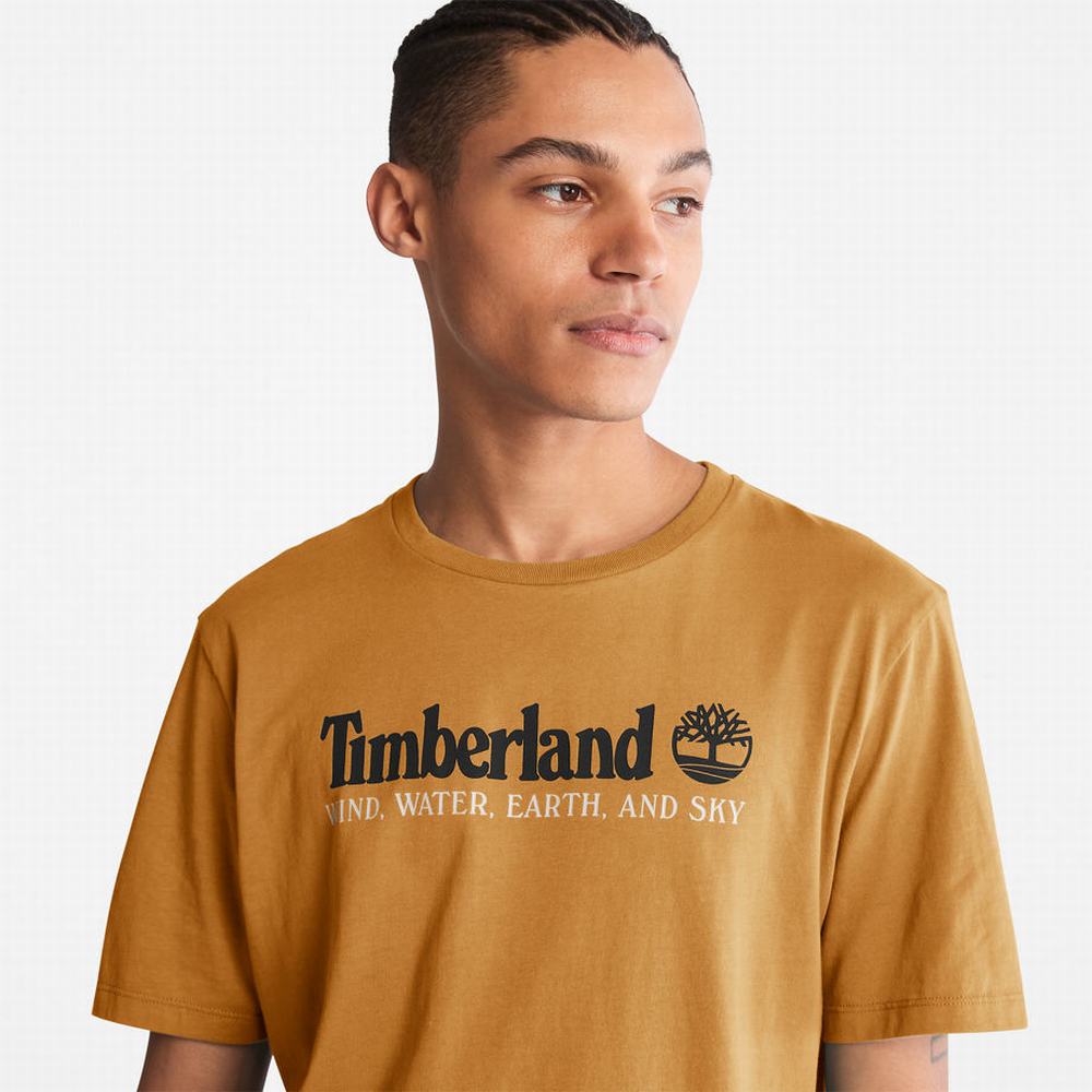 Tricko Timberland Vietor, Vody, Earth and Sky™ T-Shirt Panske Hnede | XI1035748