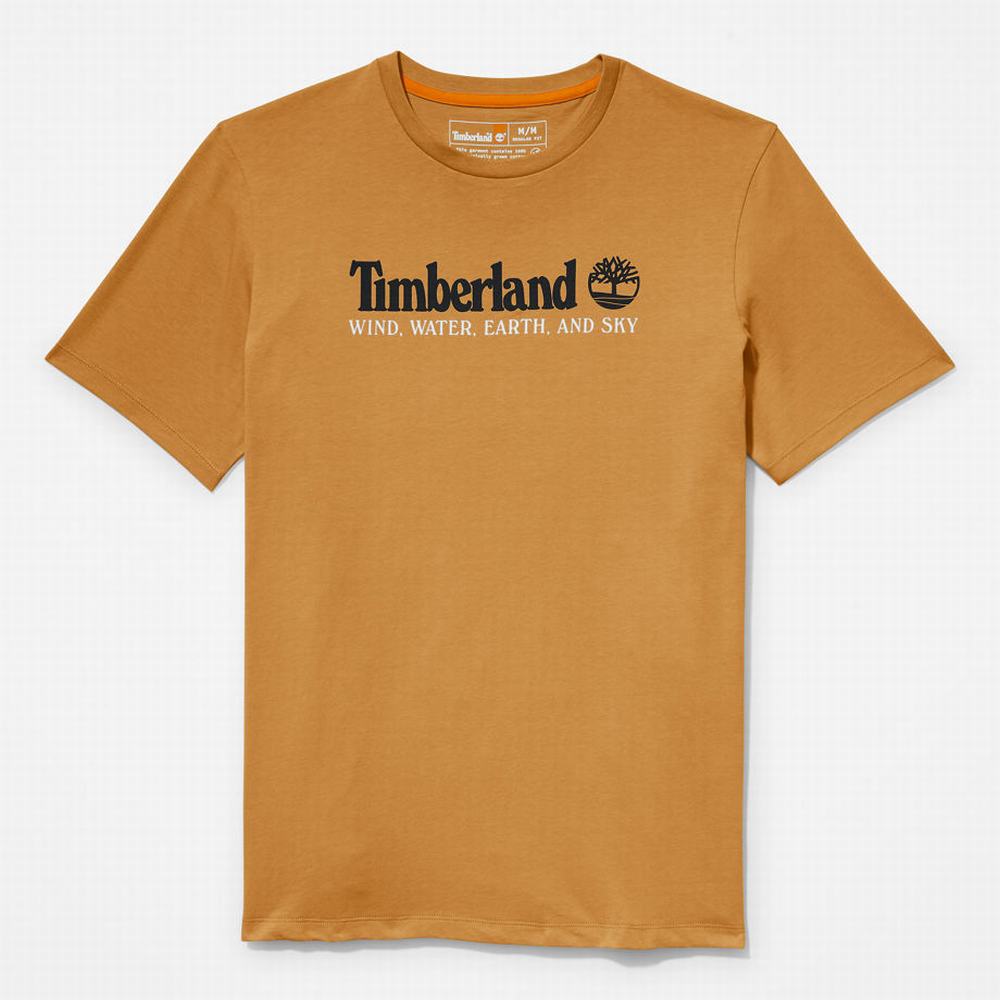 Tricko Timberland Vietor, Vody, Earth and Sky™ T-Shirt Panske Hnede | XI1035748