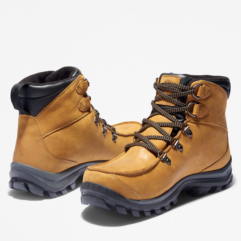 Turisticka Obuv Timberland Chillberg Mid Sport Waterproof Panske Hnede | EL0726518