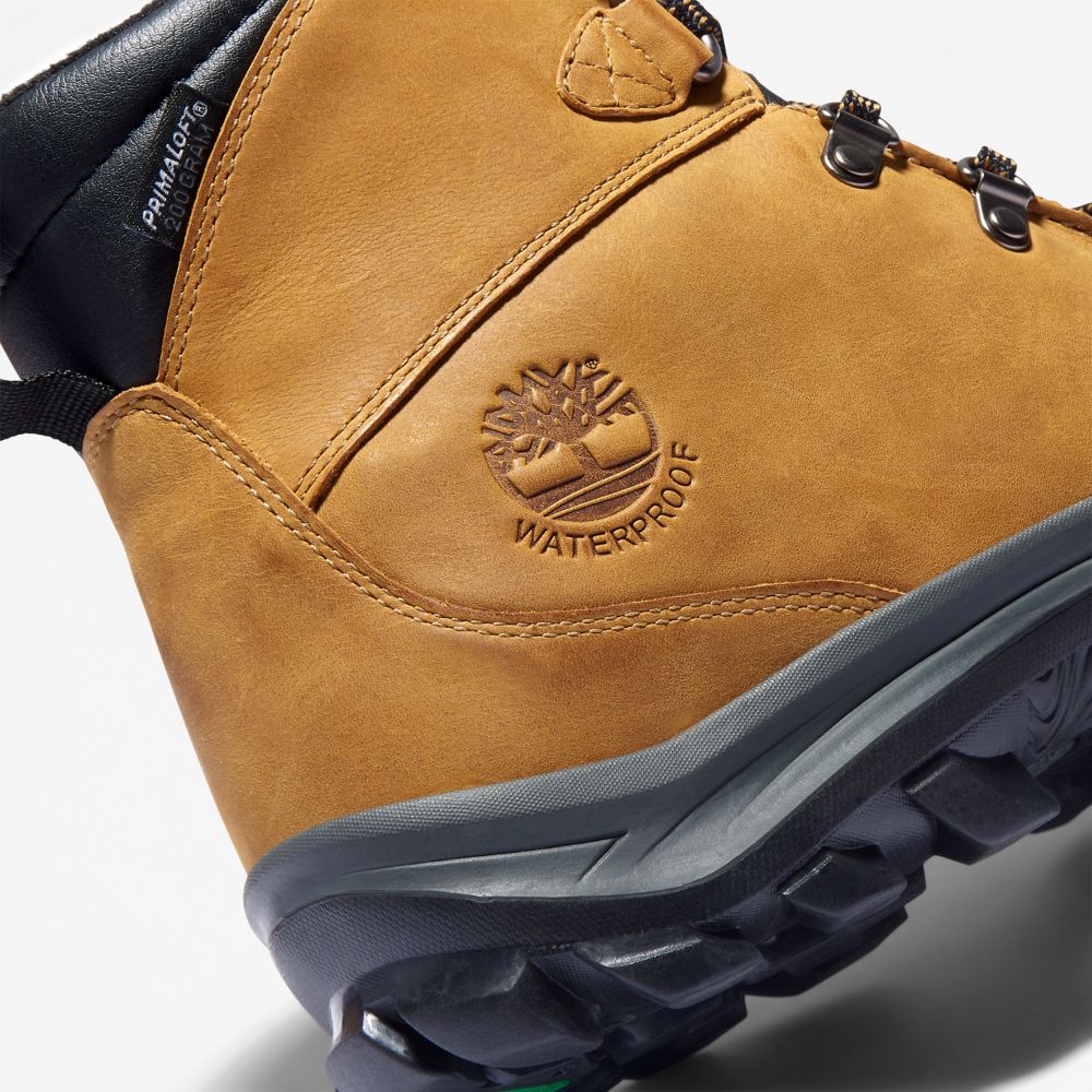 Turisticka Obuv Timberland Chillberg Mid Sport Waterproof Panske Hnede | EL0726518