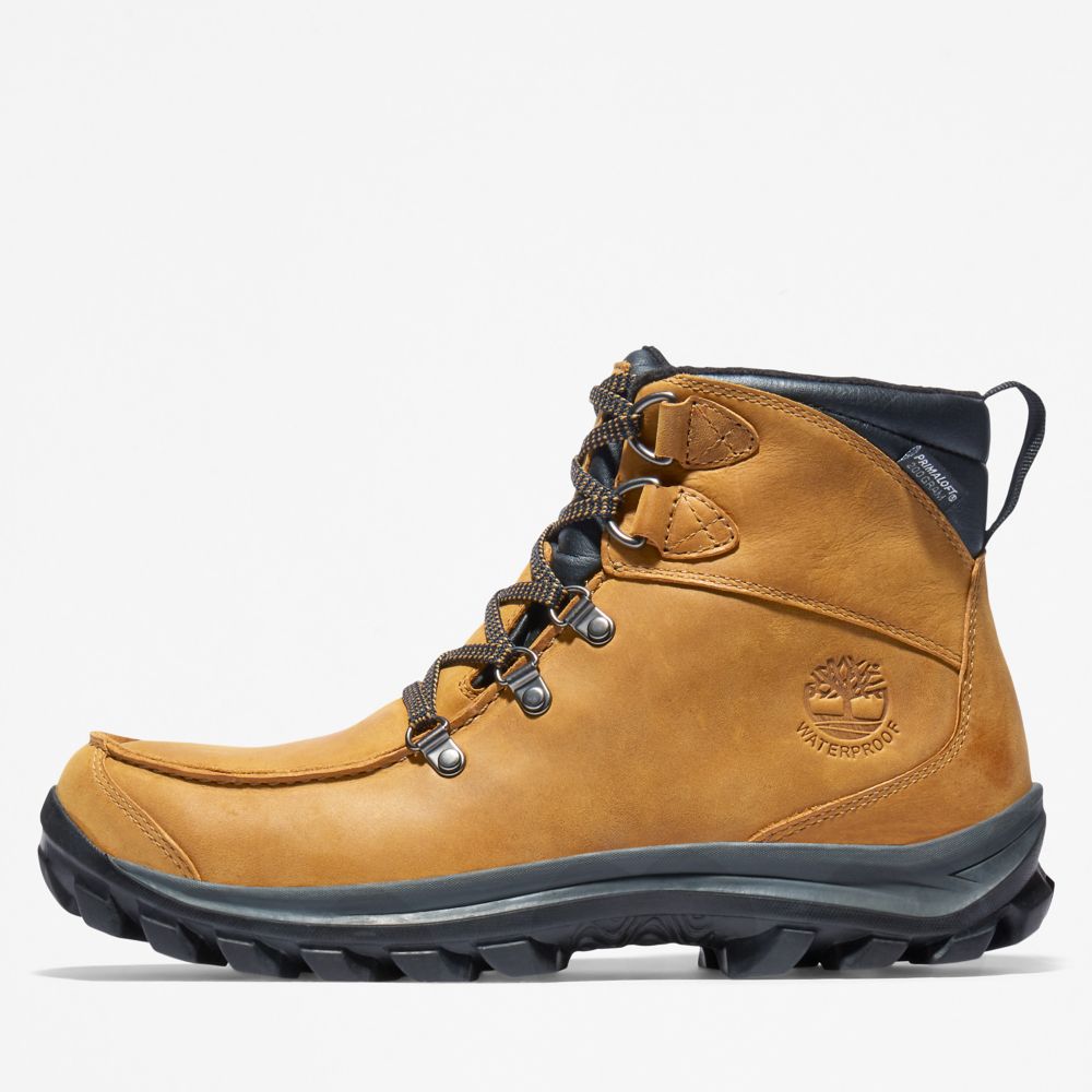 Turisticka Obuv Timberland Chillberg Mid Sport Waterproof Panske Hnede | EL0726518