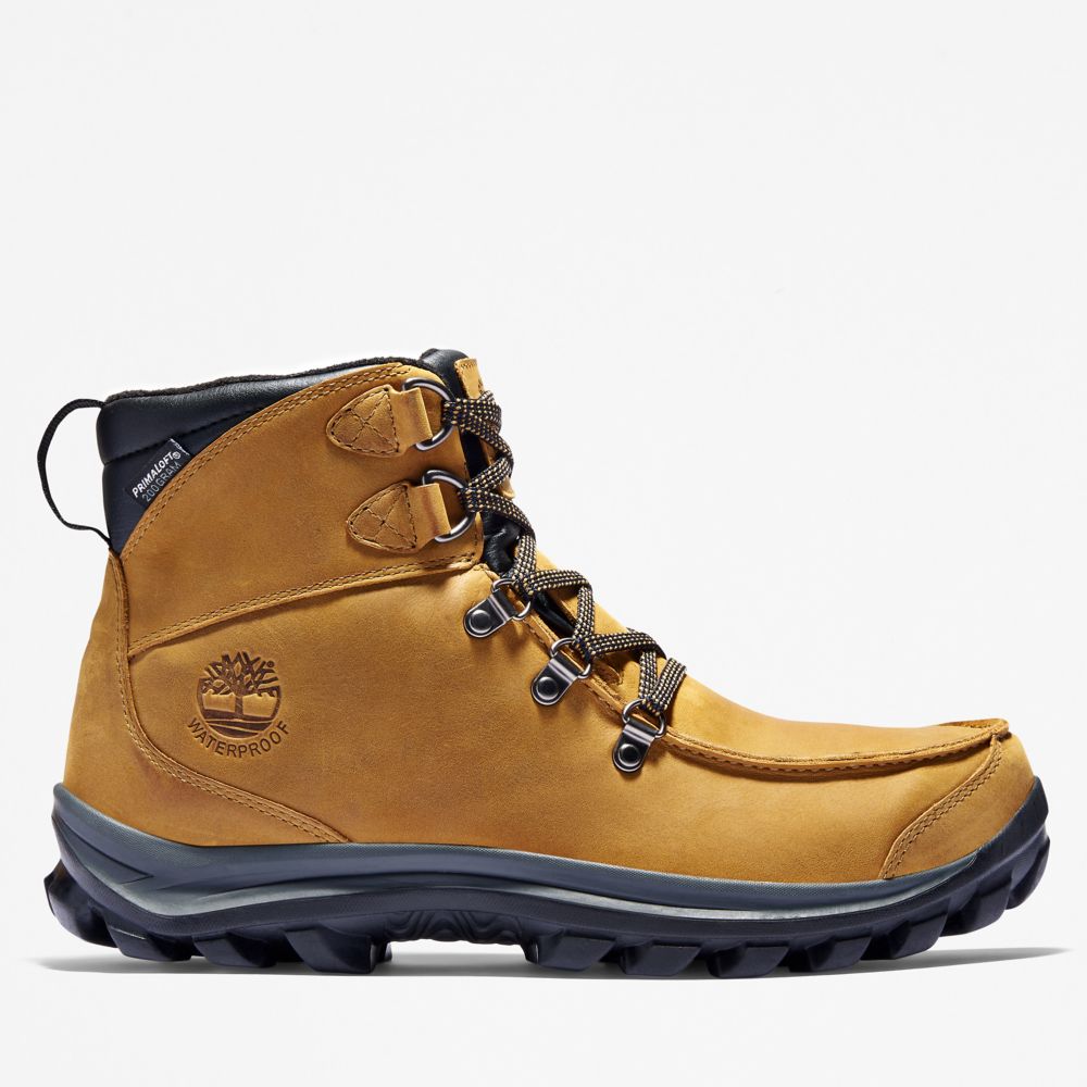 Turisticka Obuv Timberland Chillberg Mid Sport Waterproof Panske Hnede | EL0726518