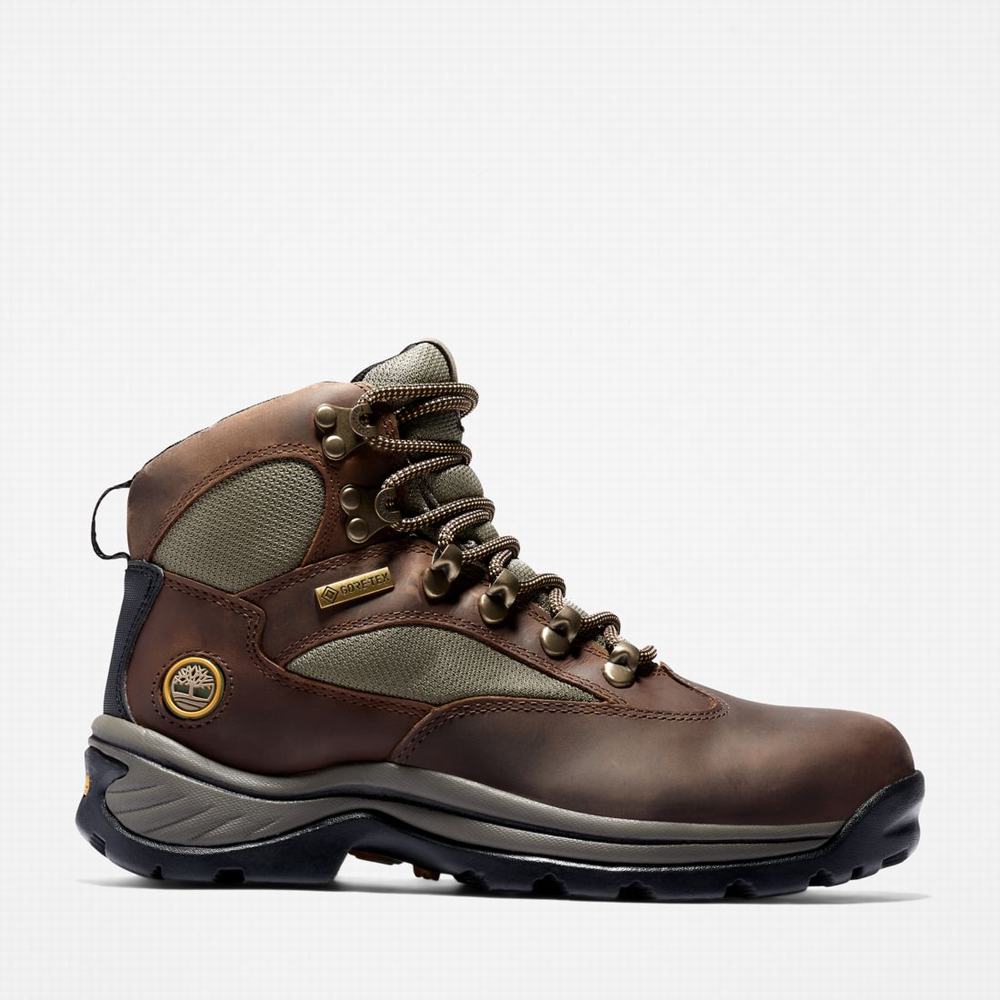 Turisticka Obuv Timberland Chocorua Trailove Mid Waterproof Damske Tmavo Hnede Zelene | IE7852349