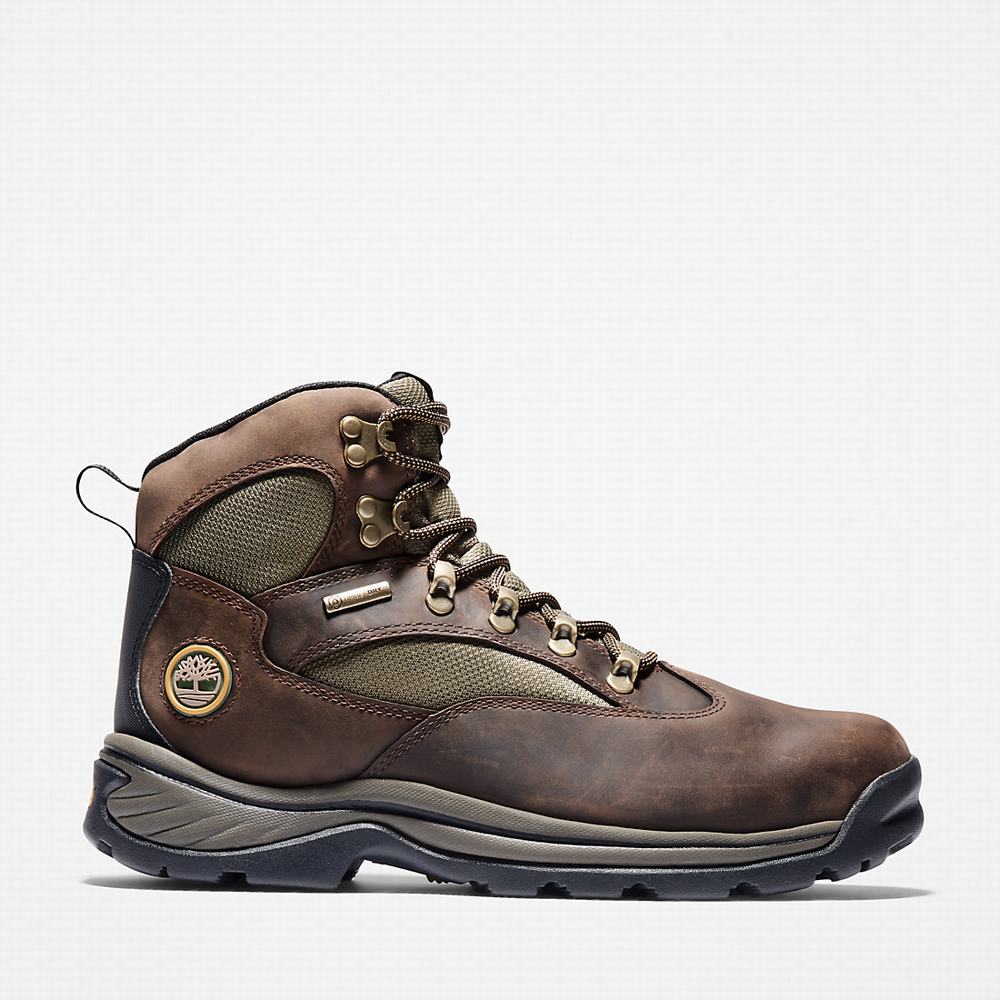 Turisticka Obuv Timberland Chocorua Waterproof Panske Hnede | LM8450123