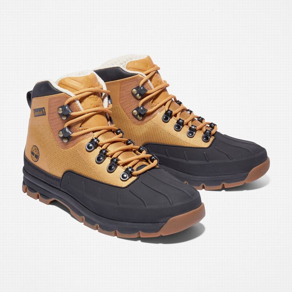 Turisticka Obuv Timberland Euro Hiker Shell-Spicou Panske Hnede | RE4098357