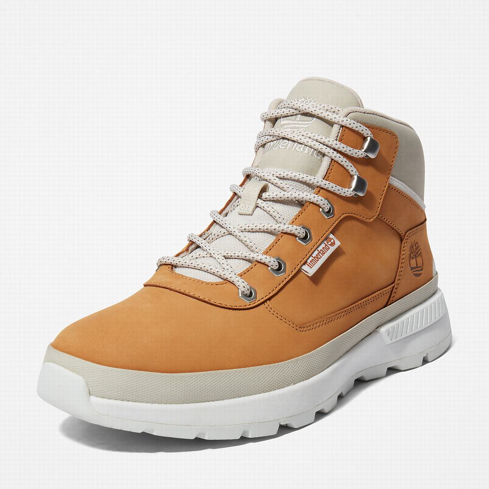 Turisticka Obuv Timberland Field Trekker Panske Svetlo Hnede | JK8629043