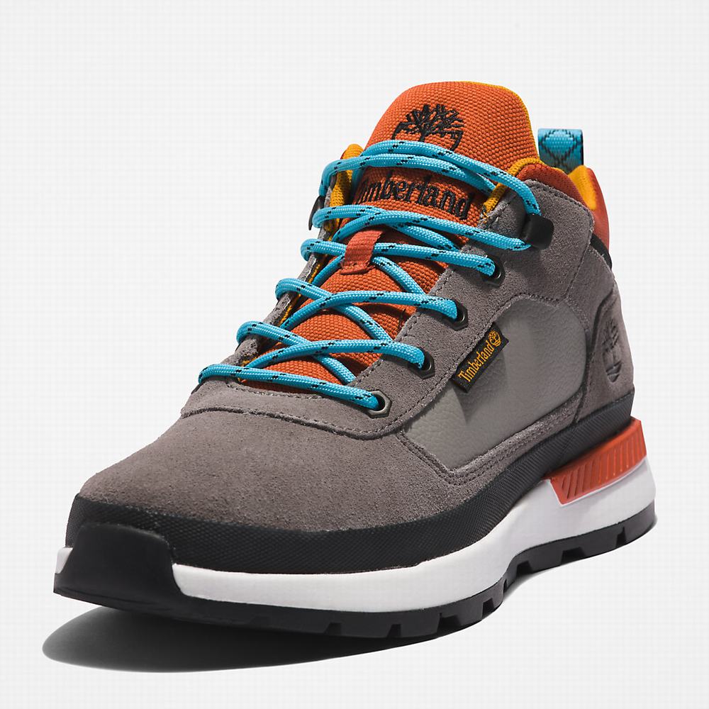 Turisticka Obuv Timberland Field Trekker Hiker Panske Tmavo Siva | MX8970435