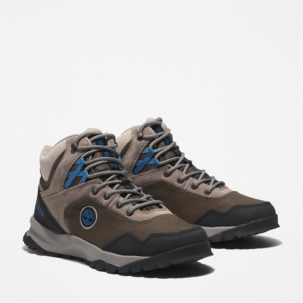 Turisticka Obuv Timberland Lincoln Peak Gore-Tex® Damske Hnede | UO2097385