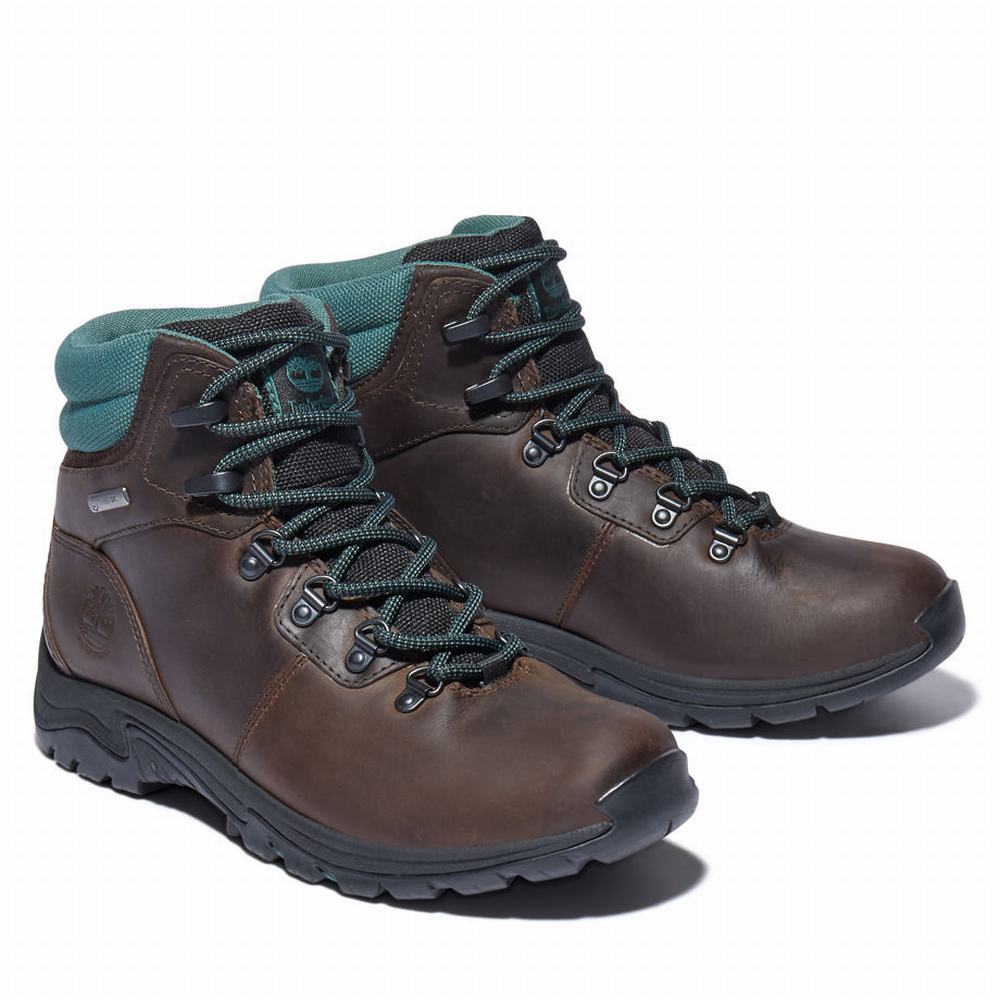 Turisticka Obuv Timberland Mount Maddsen Hiker Damske Tmavo Hnede | NS1685240