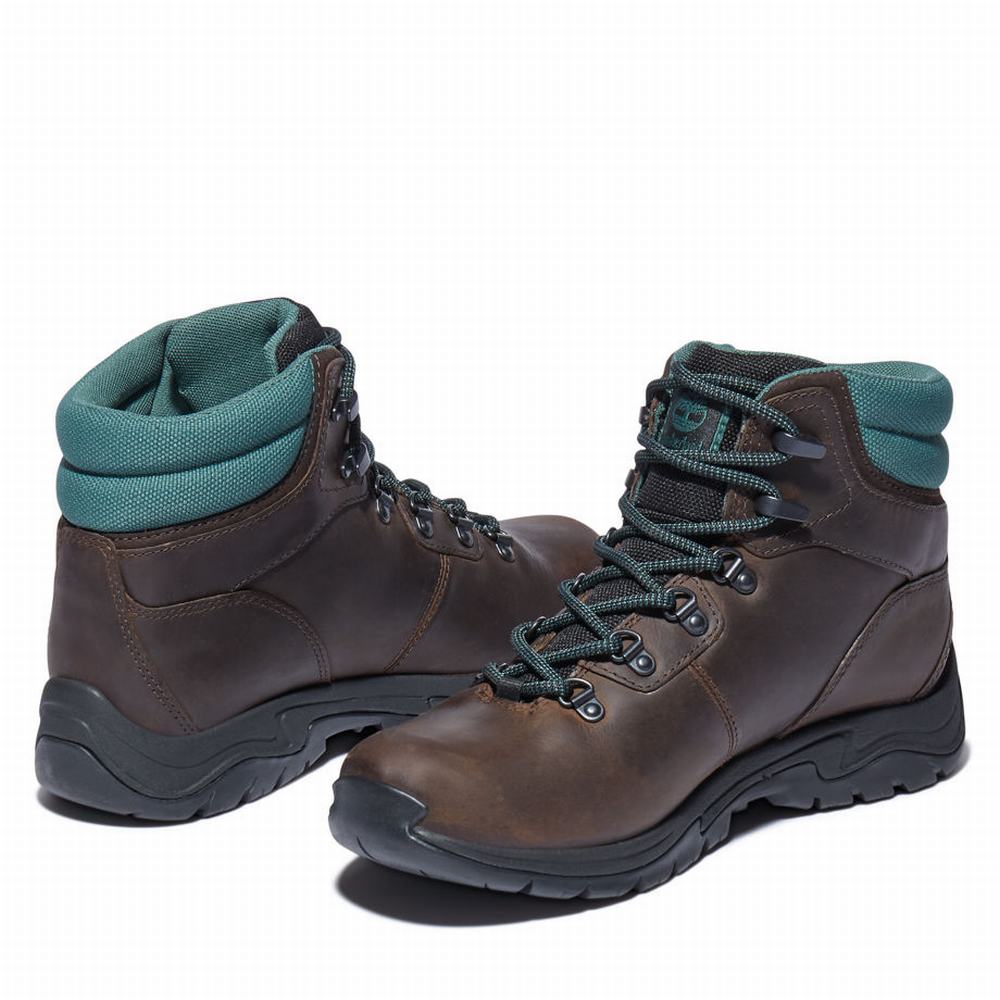 Turisticka Obuv Timberland Mount Maddsen Hiker Damske Tmavo Hnede | NS1685240