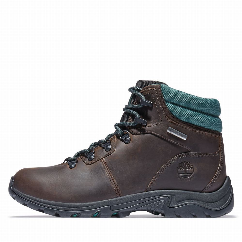 Turisticka Obuv Timberland Mount Maddsen Hiker Damske Tmavo Hnede | NS1685240