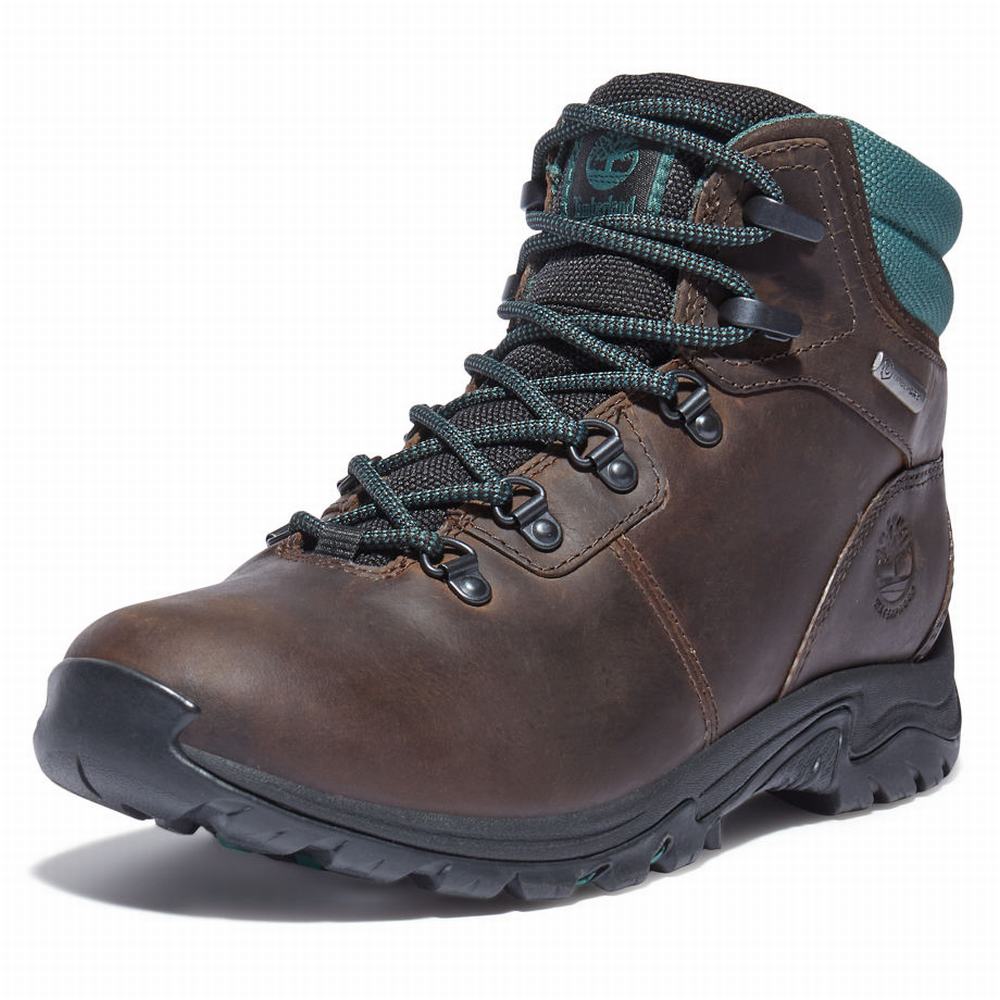 Turisticka Obuv Timberland Mount Maddsen Hiker Damske Tmavo Hnede | NS1685240