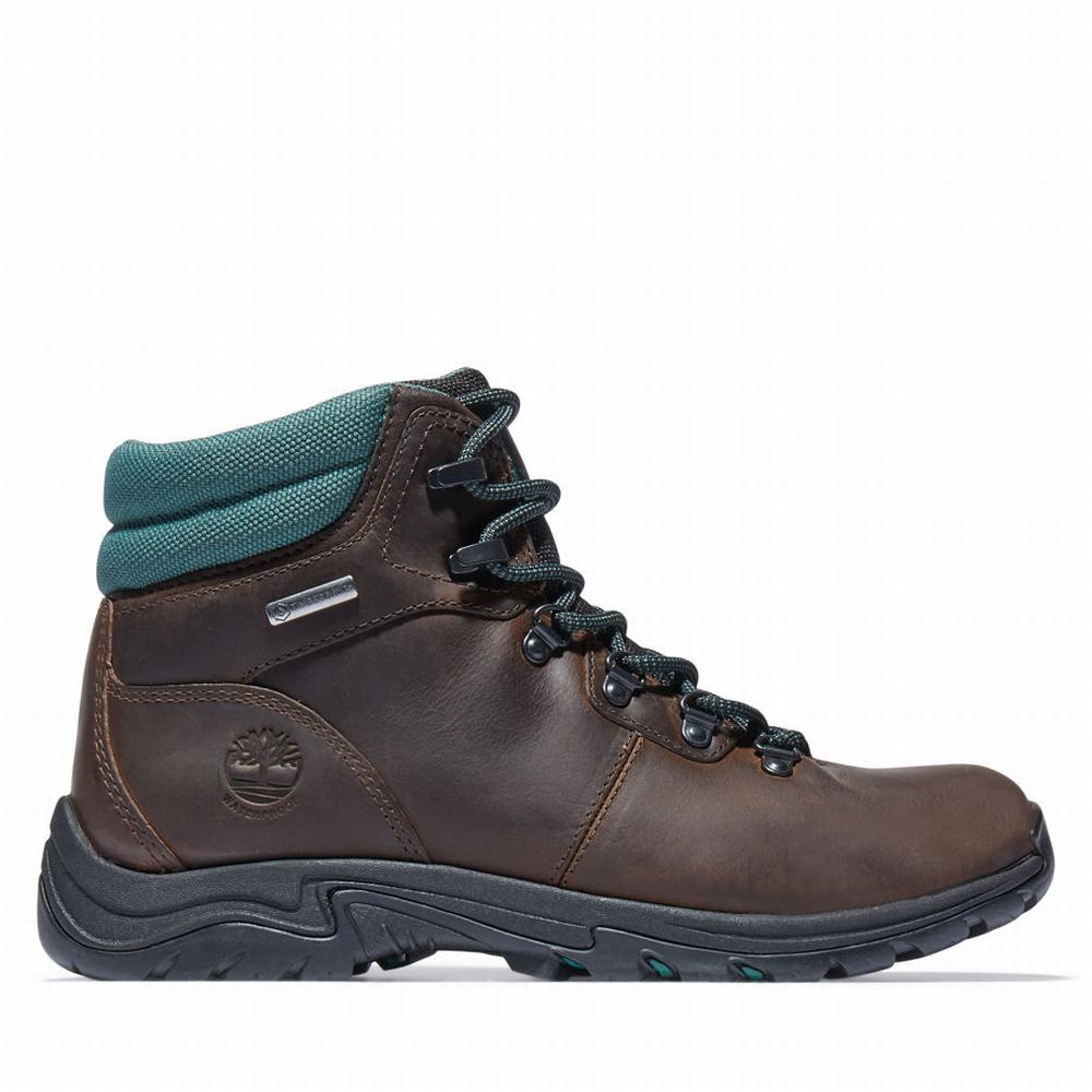 Turisticka Obuv Timberland Mount Maddsen Hiker Damske Tmavo Hnede | NS1685240