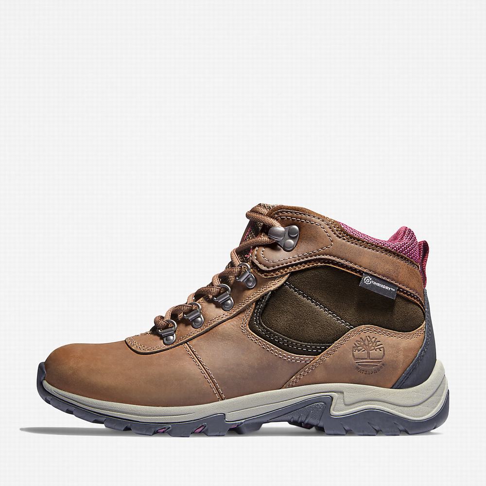 Turisticka Obuv Timberland Mt. Maddsen Damske Hnede | FK5794381