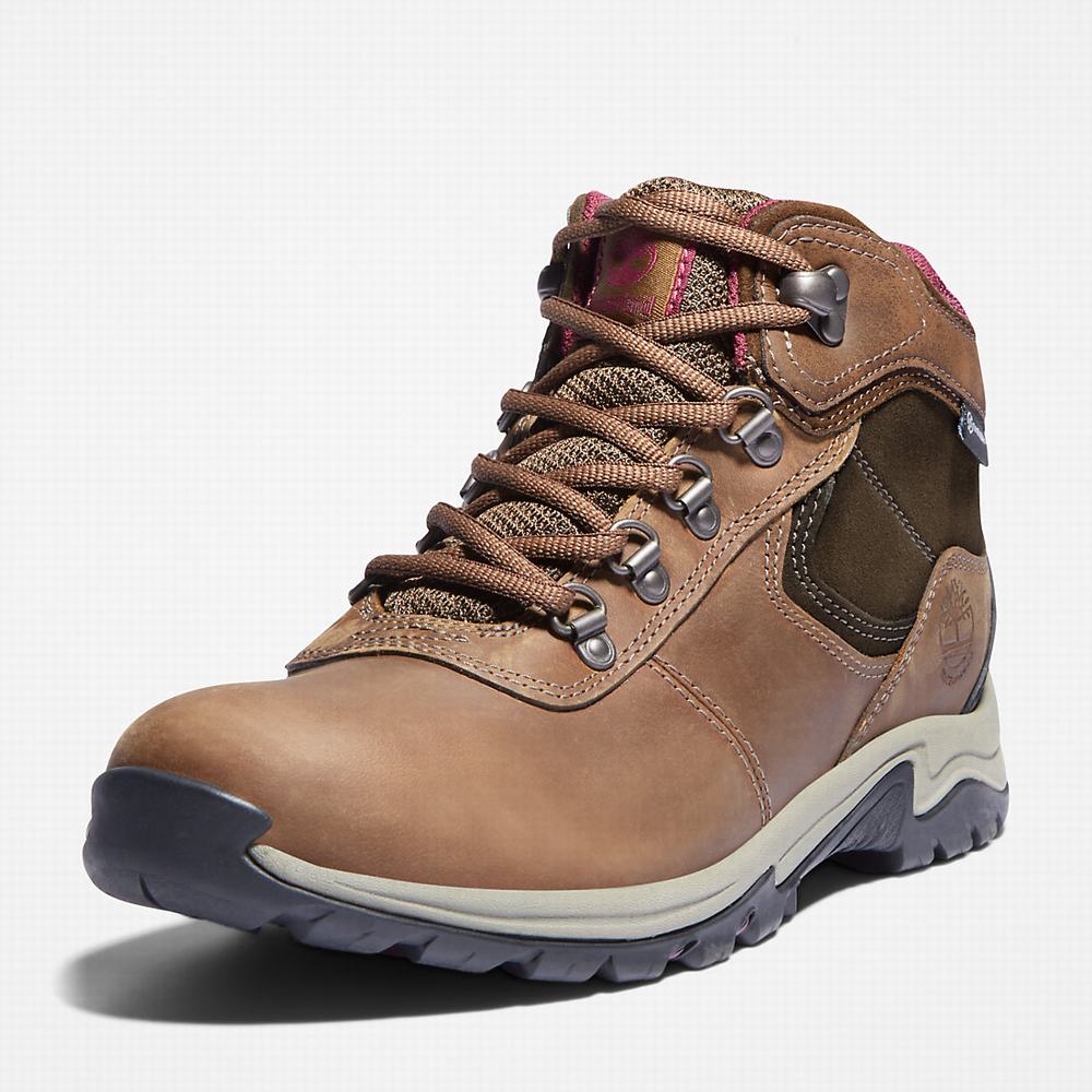 Turisticka Obuv Timberland Mt. Maddsen Damske Hnede | FK5794381