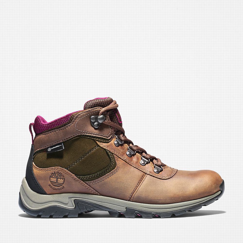 Turisticka Obuv Timberland Mt. Maddsen Damske Hnede | FK5794381