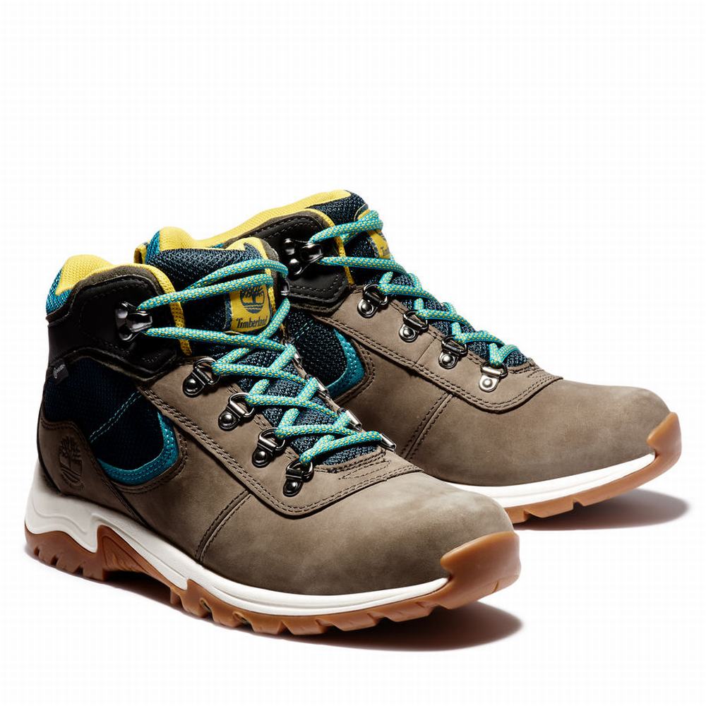 Turisticka Obuv Timberland Mt. Maddsen Gore Tex Hiker Damske Béžové | LA6983740