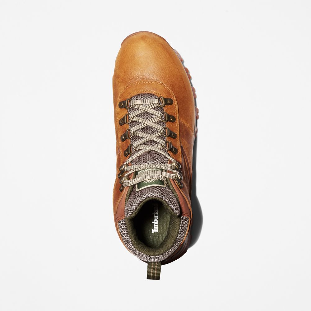 Turisticka Obuv Timberland Mt. Maddsen Waterproof Panske Svetlo Hnede | NK7695802