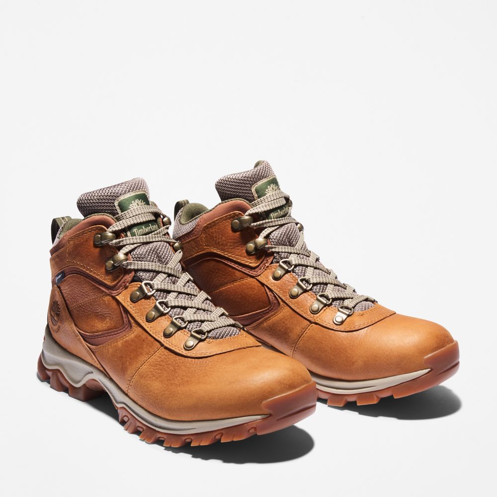 Turisticka Obuv Timberland Mt. Maddsen Waterproof Panske Svetlo Hnede | NK7695802