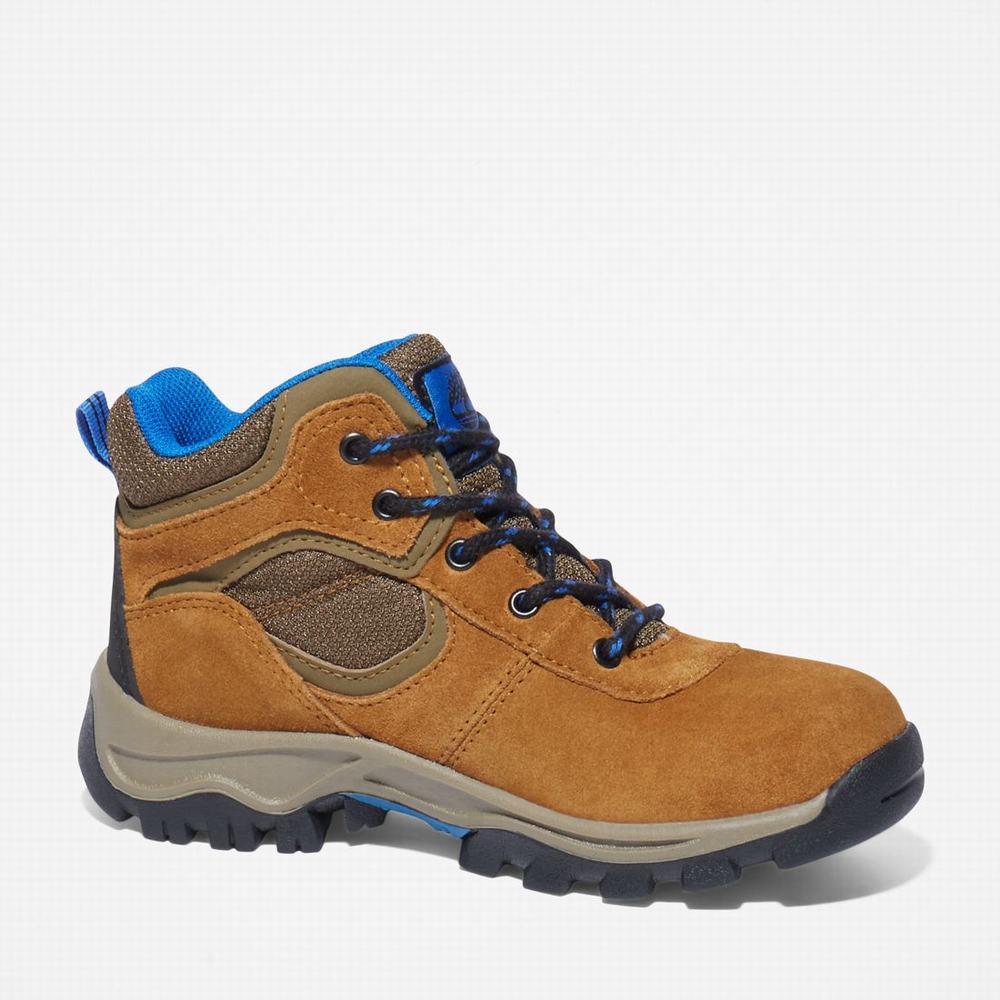 Turisticka Obuv Timberland Mt. Maddsen Waterproof Detske Hnede | OZ9362704