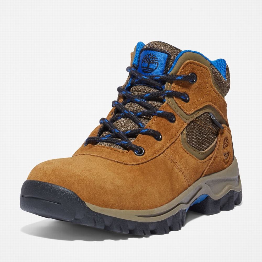 Turisticka Obuv Timberland Mt. Maddsen Waterproof Detske Hnede | OZ9362704