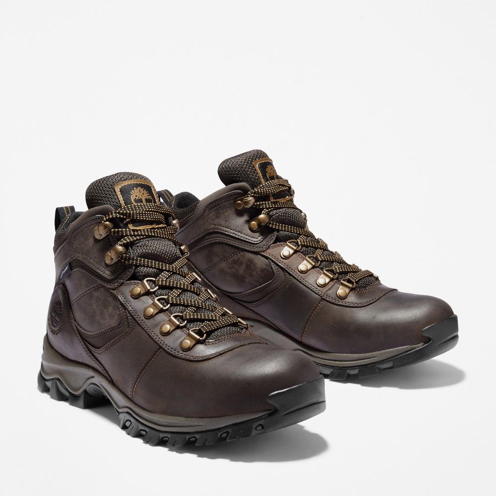 Turisticka Obuv Timberland Mt. Maddsen Waterproof Panske Tmavo Hnede | QN9837604