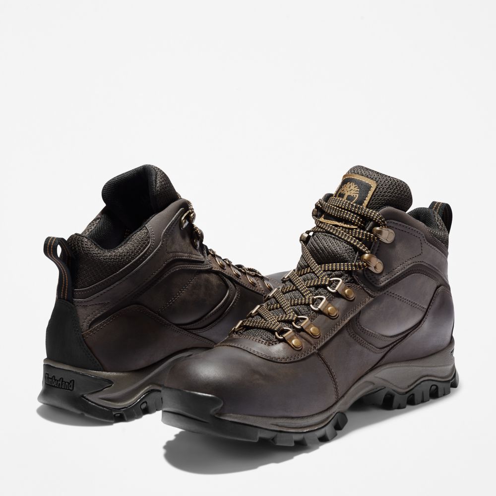 Turisticka Obuv Timberland Mt. Maddsen Waterproof Panske Tmavo Hnede | QN9837604