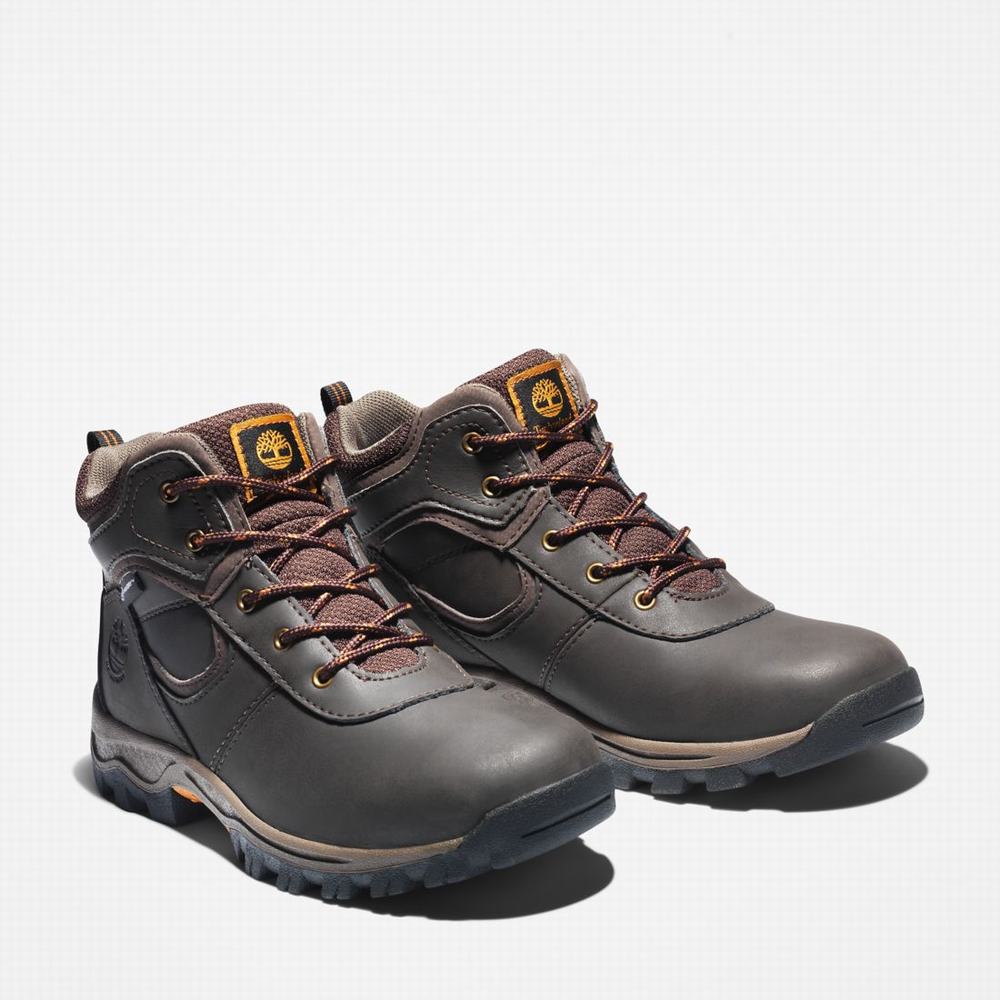 Turisticka Obuv Timberland Mt. Maddsen Waterproof Detske Tmavo Hnede | QW8473201