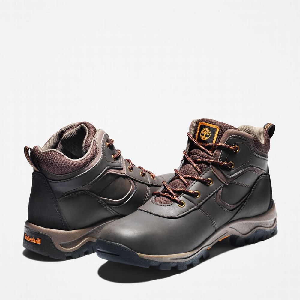 Turisticka Obuv Timberland Mt. Maddsen Waterproof Detske Tmavo Hnede | QW8473201