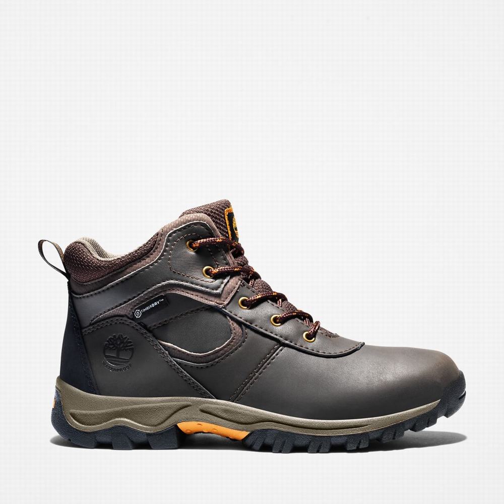 Turisticka Obuv Timberland Mt. Maddsen Waterproof Detske Tmavo Hnede | QW8473201